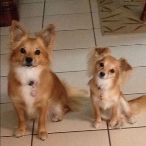 Meet your Posher, Joanne